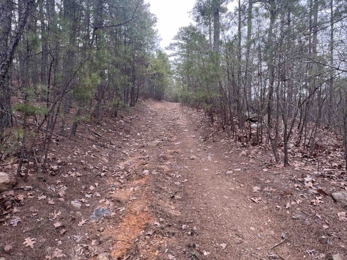 Bear Creek Mountain Road 773 photo 2