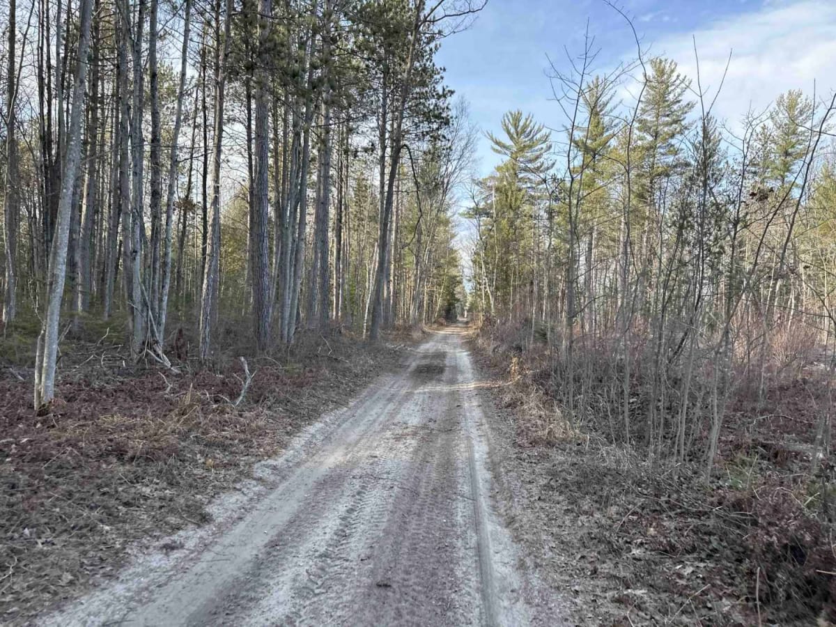 Devils lake to Indian reserve rd. photo 5