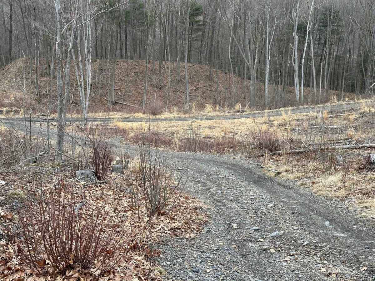 Ashland 67 photo 2