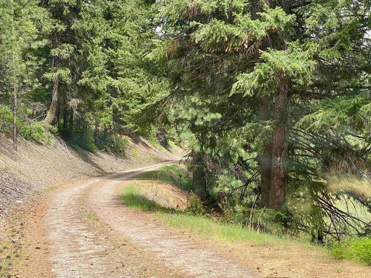 Eddy Creek Road-Deep Creek Road photo 6