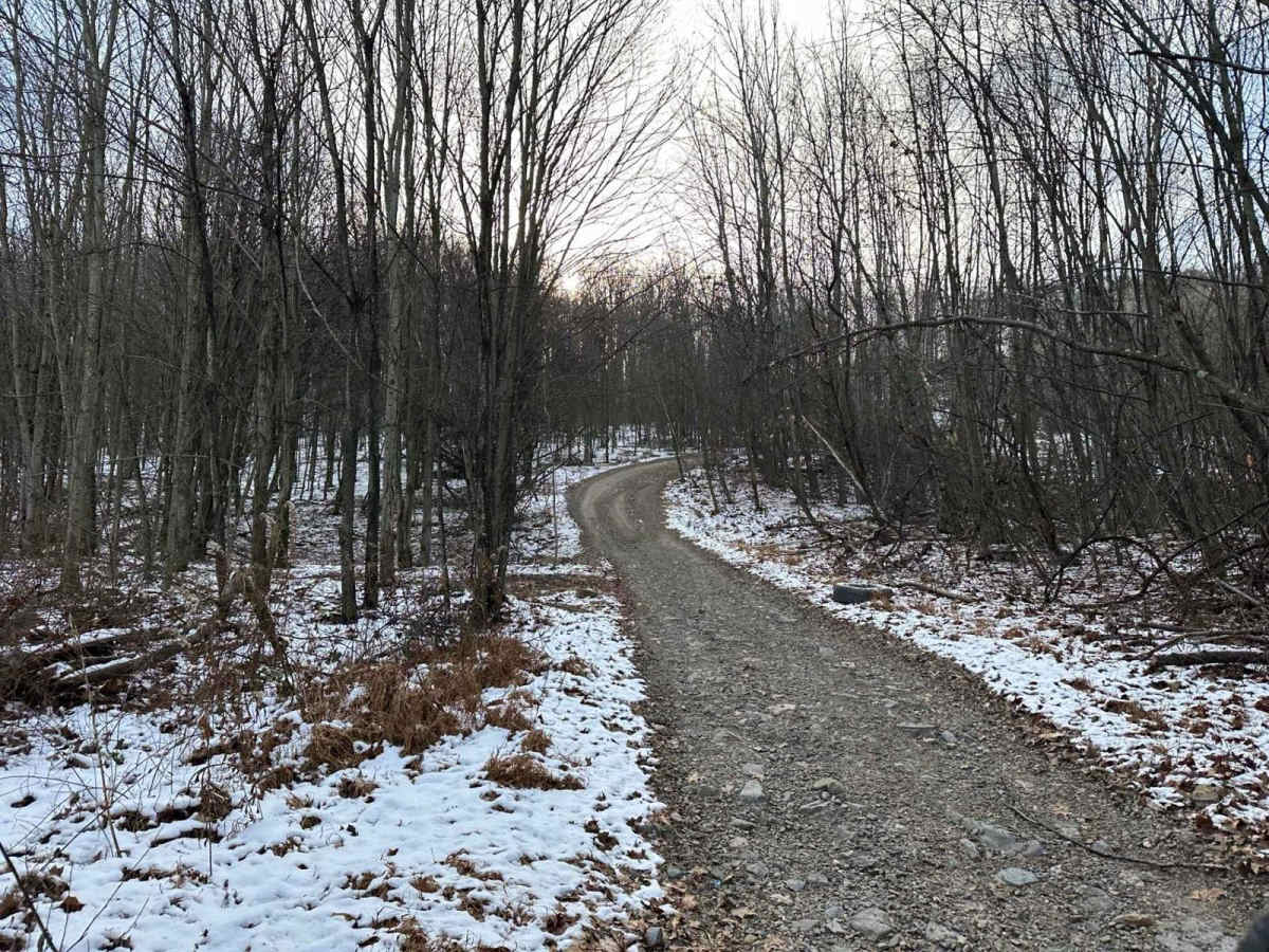 Locust Gap 30 photo 4