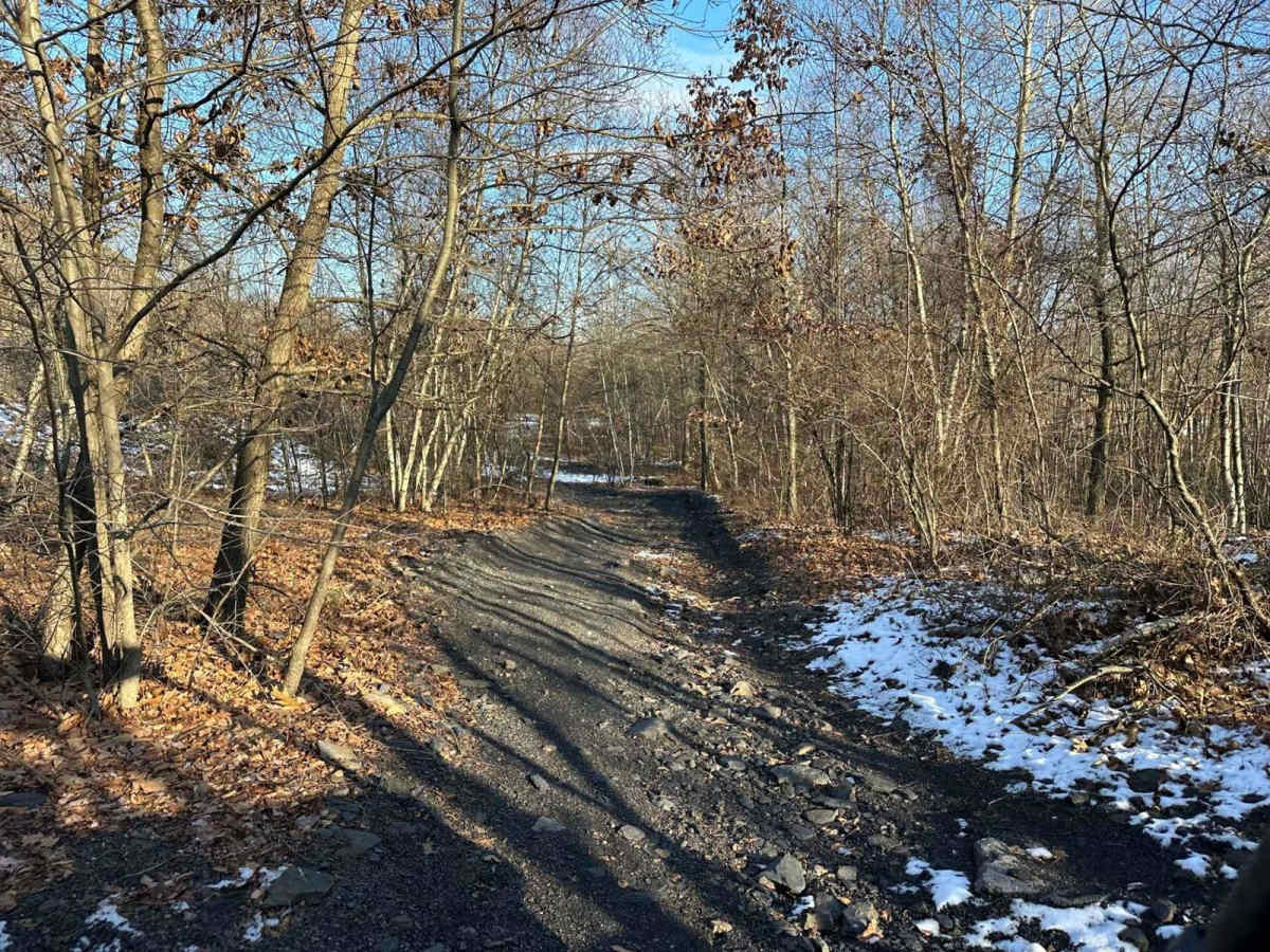 Locust Gap 17 photo 2