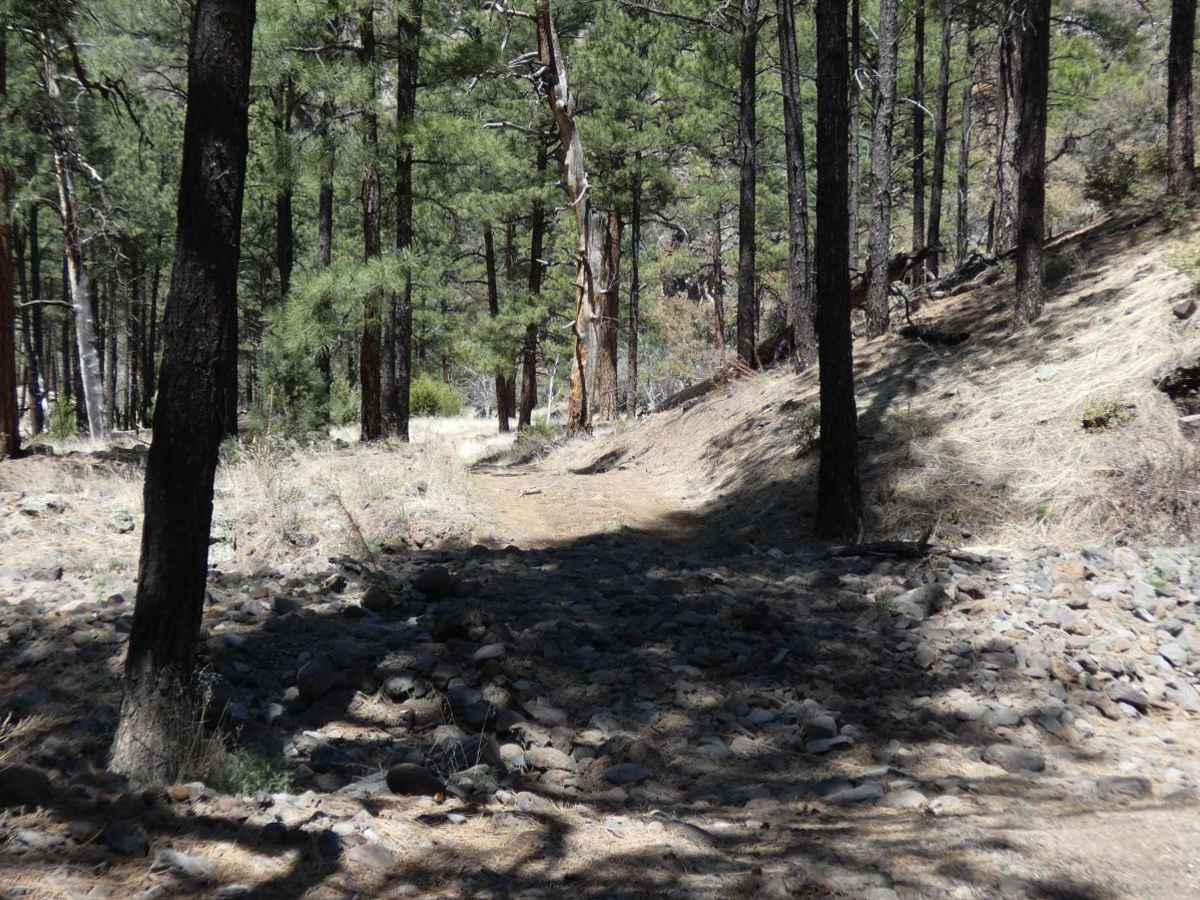 Beaver Creek Canyon photo 6