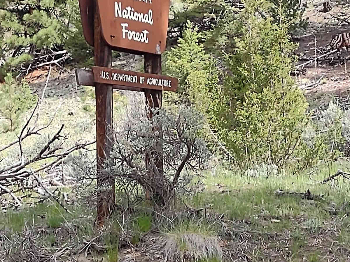 Indian Creek Road photo 5