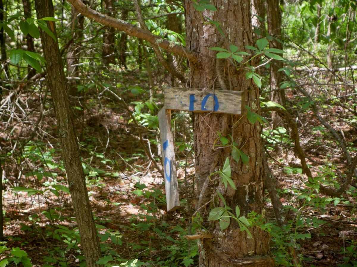 Trail 18 photo 4