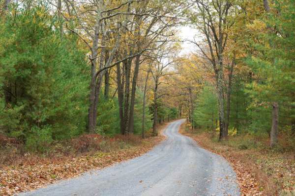 Sand Mountain Road