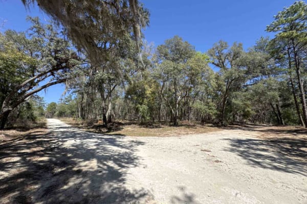 Ocala National Forest Road 8