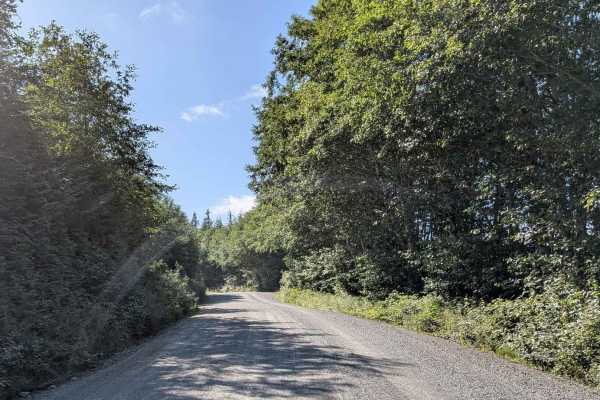 Holberg Main