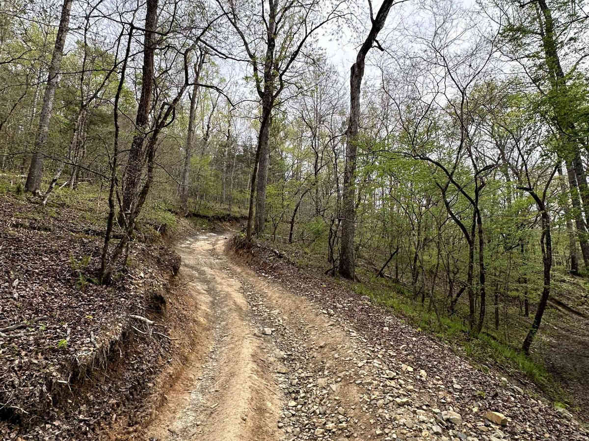 Trail 18 photo 4