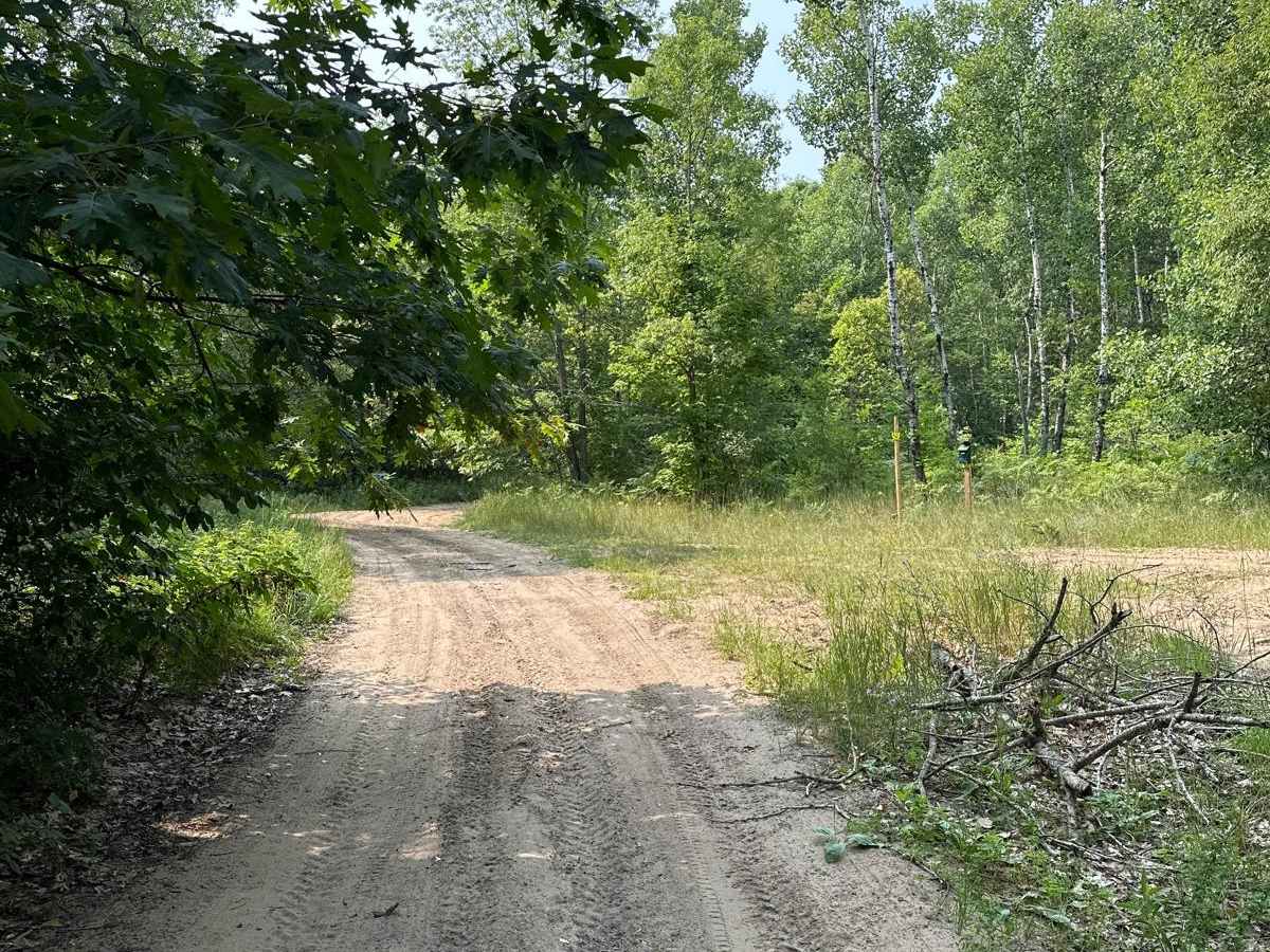 Lamb Road/Trail 39 photo 2