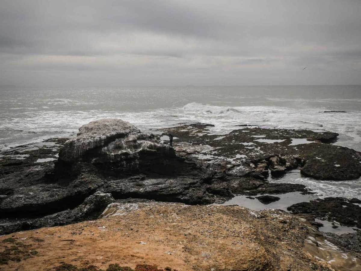 Punta Baja photo 3