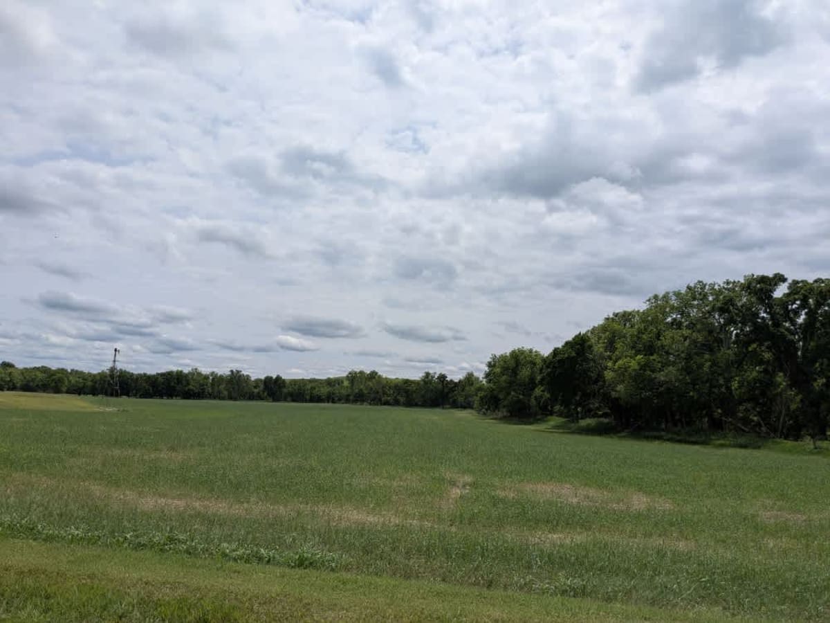 Crisco Road photo 3