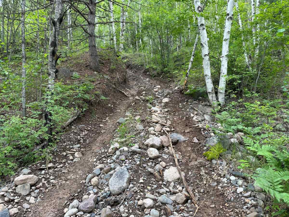 Mossy Rocks trail photo