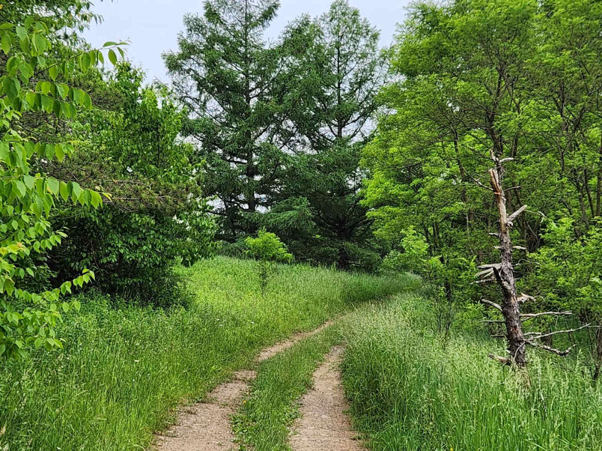 Trail 4J - Rock Run Recreation Area photo 5