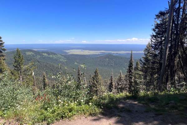Bishop Mountain Road (20120)