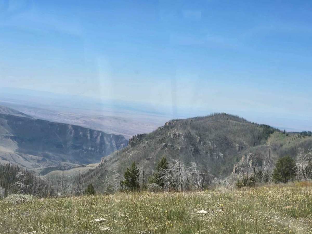 Grouse Creek (FSR 205) trail photo