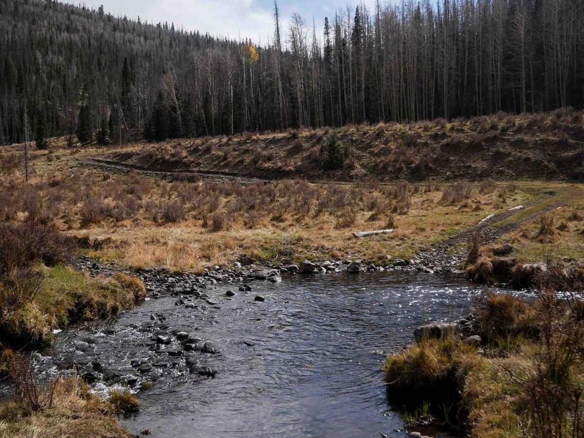 La Garita Creek Cutoff ATV photo 2