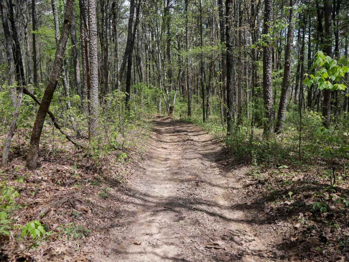 Black Oak Ridge photo 5