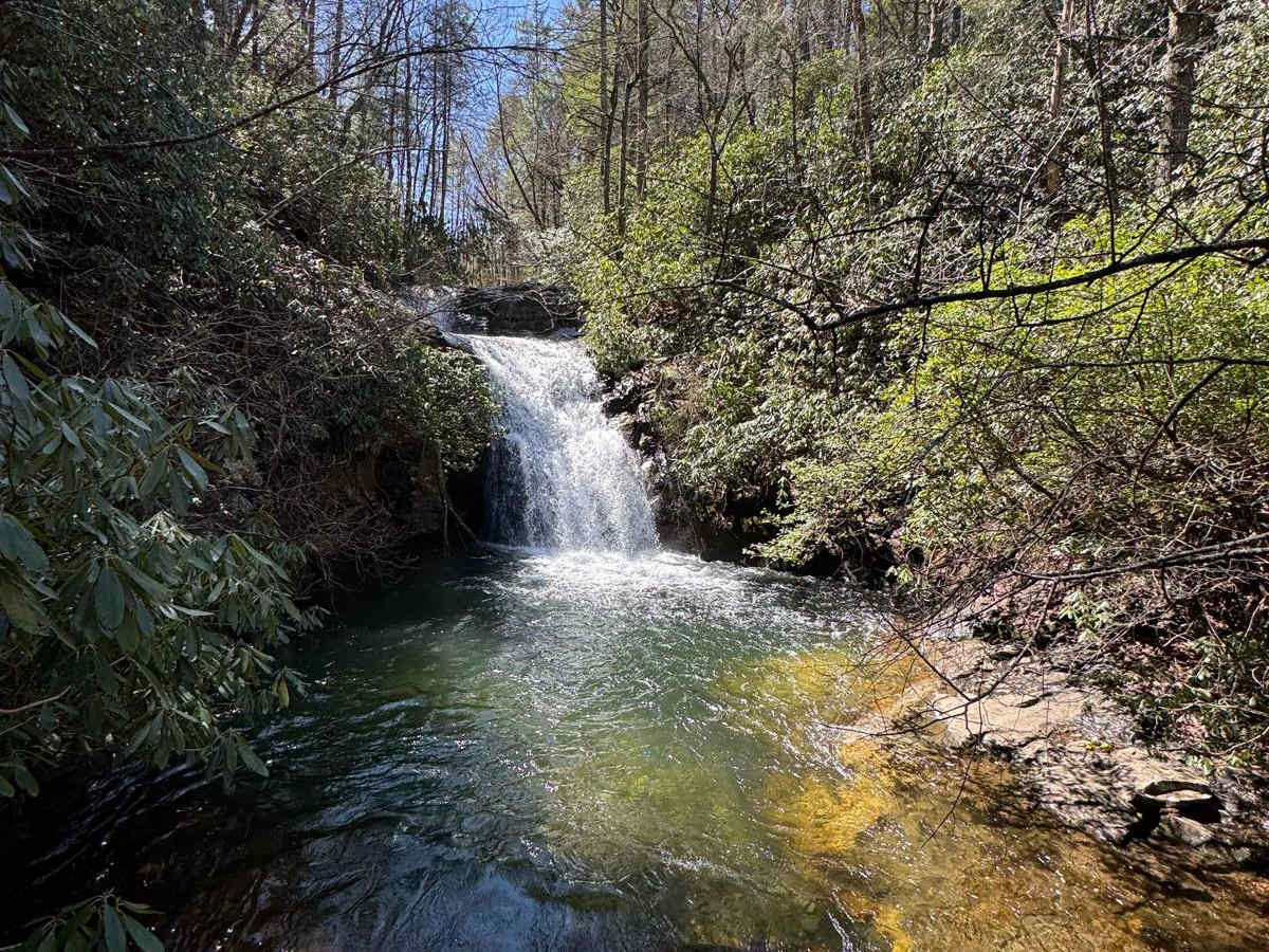 Indian Grave Gap - FR 283 trail photo
