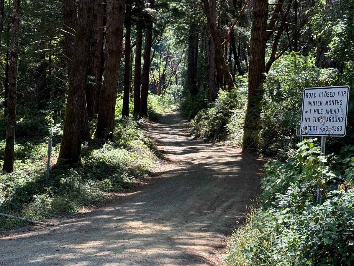 Usal Road (Northern Portion) trail photo