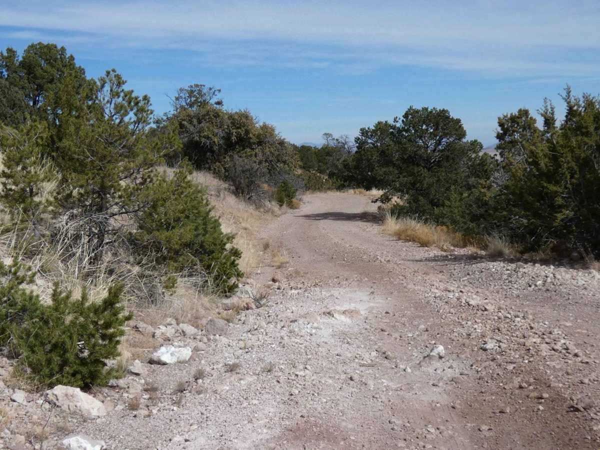 Little Rosa Base photo 6