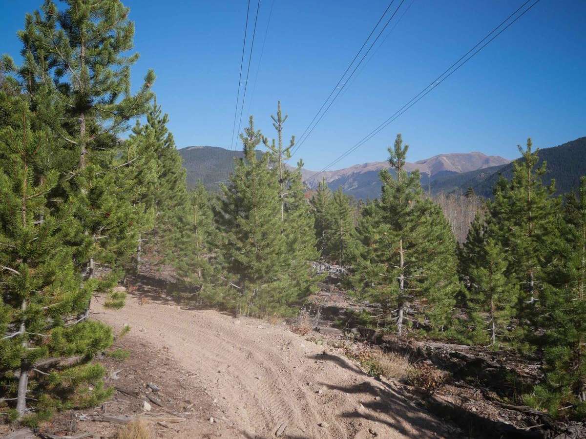 Powerline photo 6