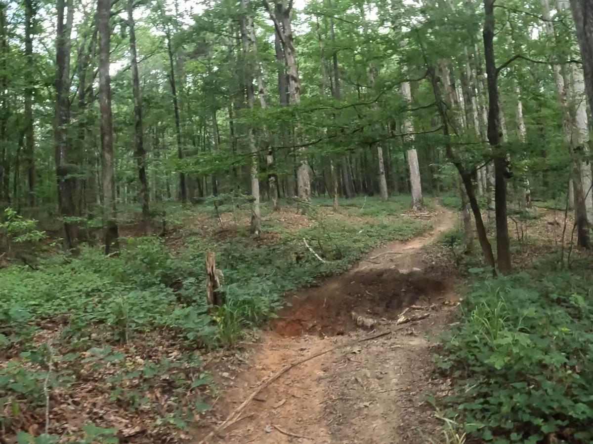 A Loop photo 4