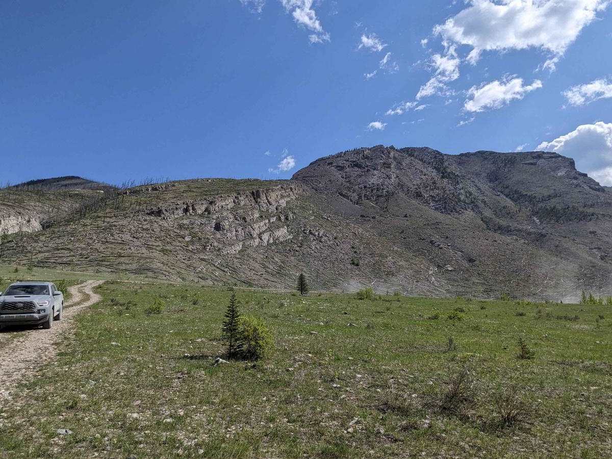 Ya Ha Tinda Road to Bighorn Falls trail photo