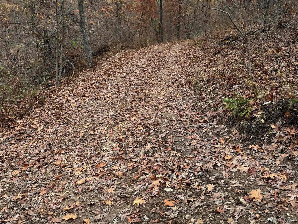 Green 187 photo 4