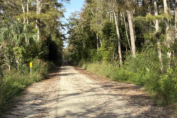 Loop Road - CR 94