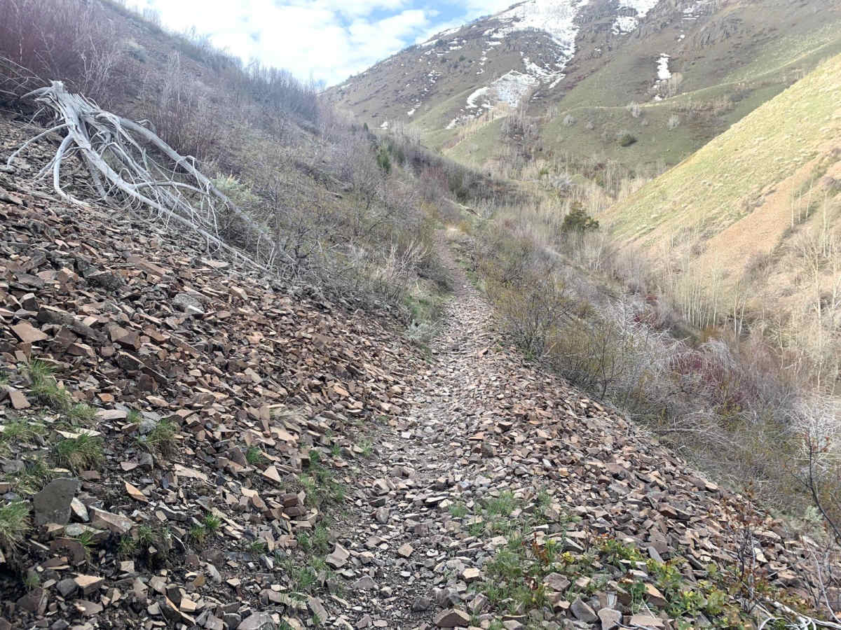 Wahlstrom Hollow Trail photo 2