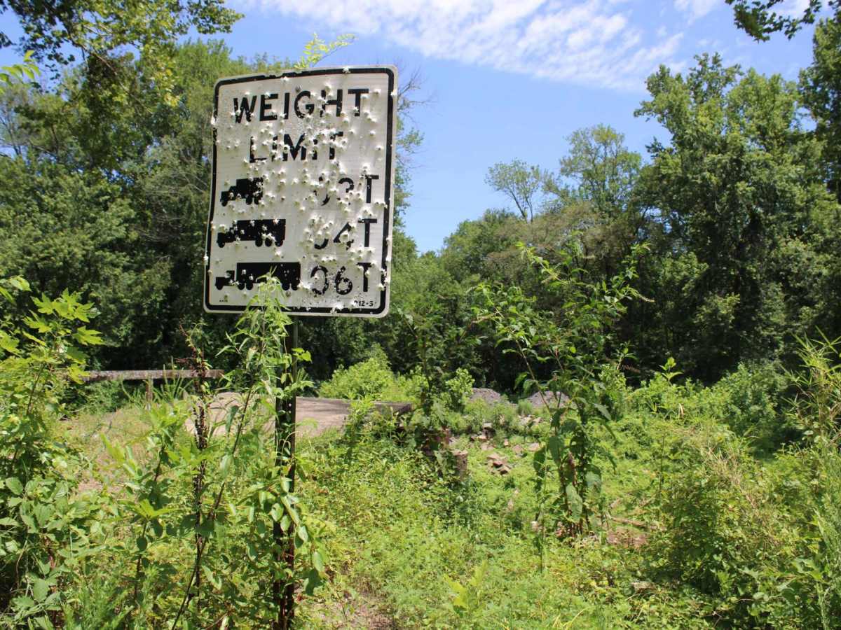 Petit Jean River Wildlife Mgmt Area photo 3