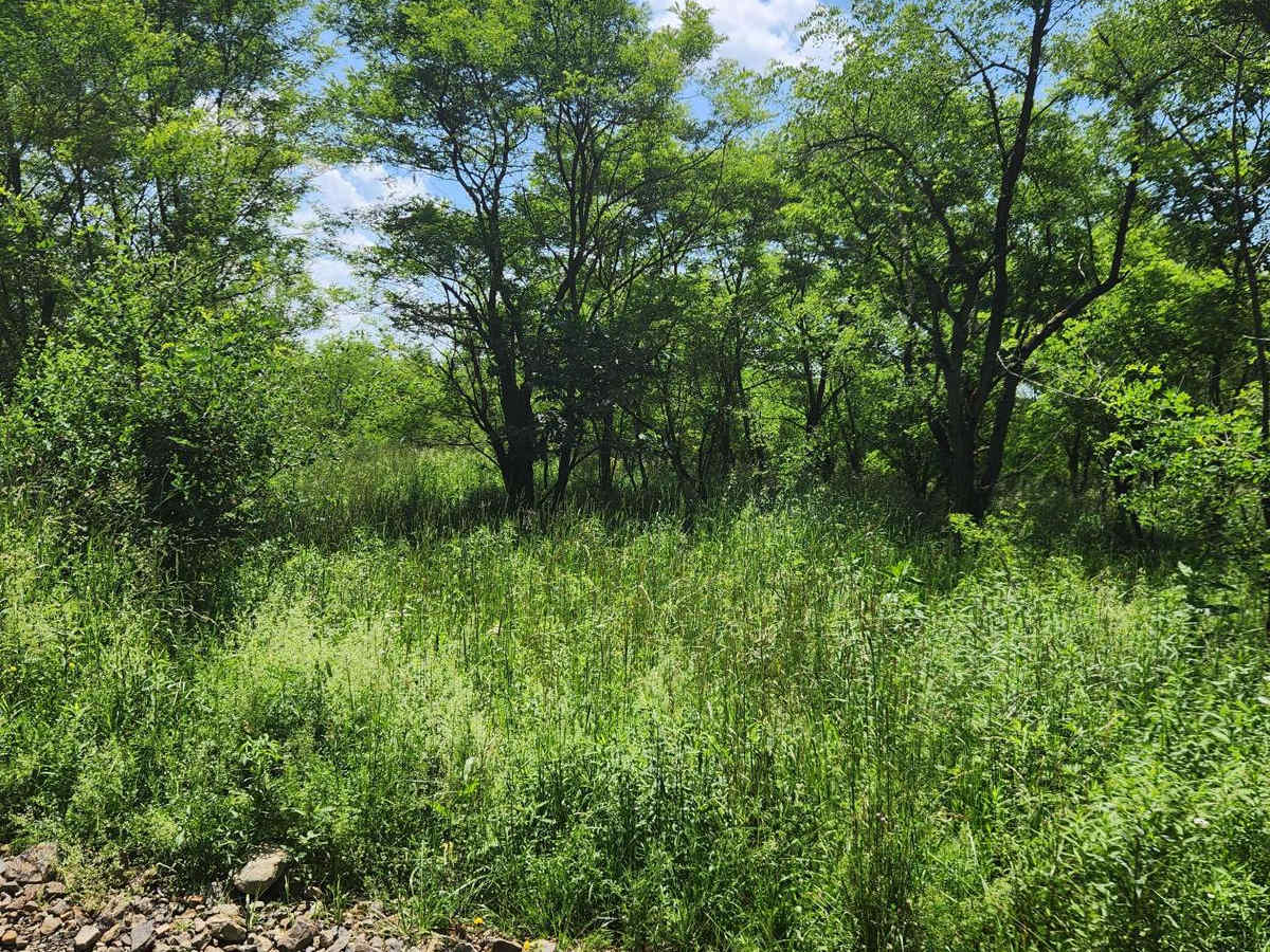 Trail 8B - Rock Run Recreation Area photo 6