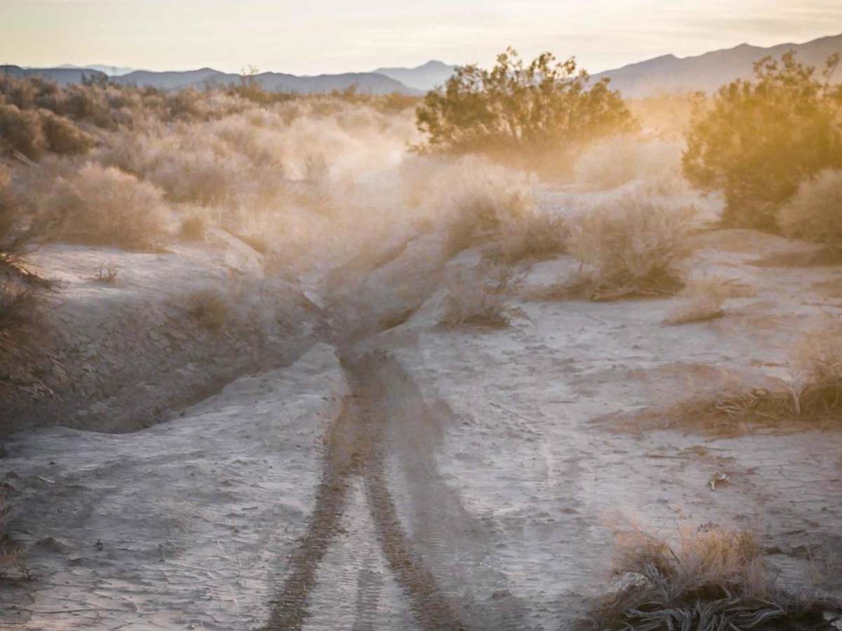 5 Horsepower Trail photo 2
