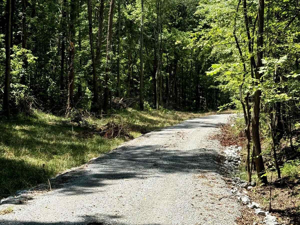 Jones Creek Road photo 2