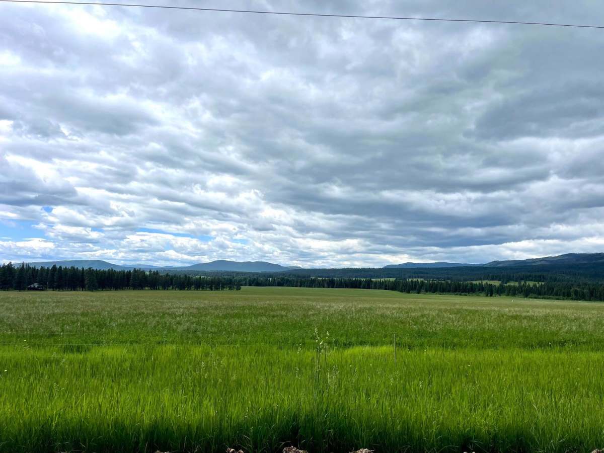 McCabe Creek photo 2