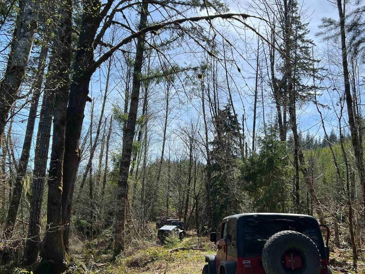 Diver Ridge photo 3