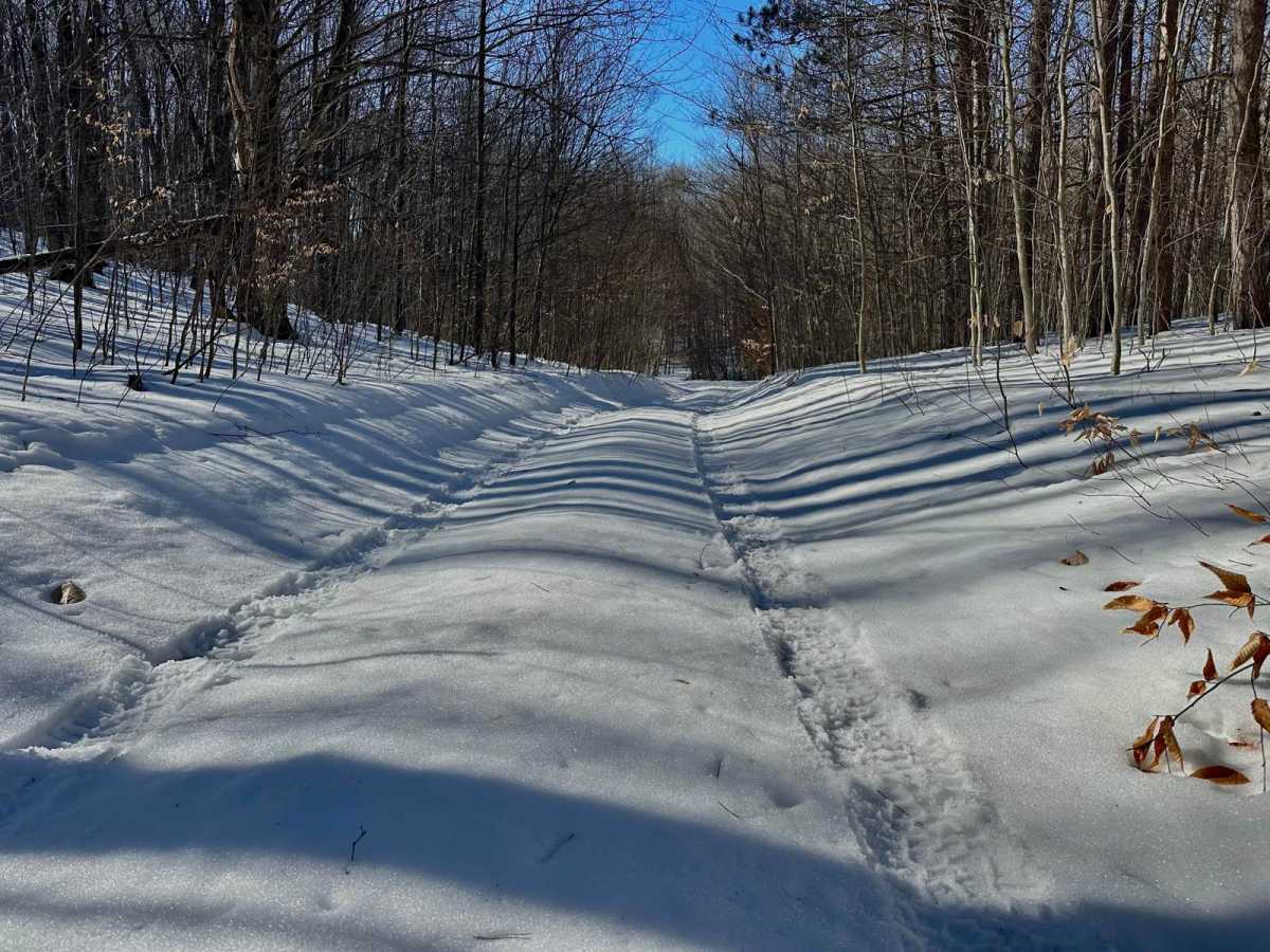 Deer Track Trail photo 6