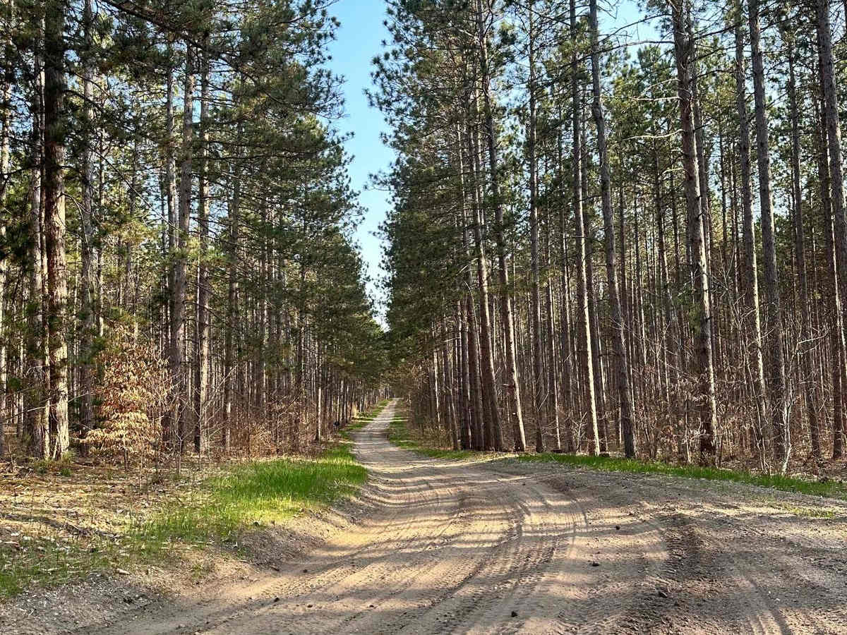 Cadillac Area ORV/OHV Scenic Ride - Part 4 photo 6