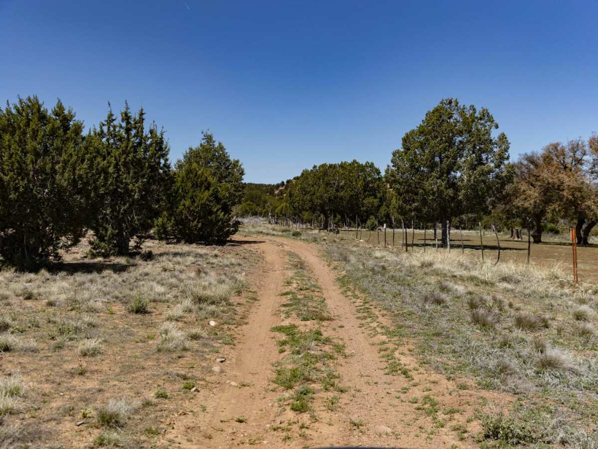 Colcord trail photo