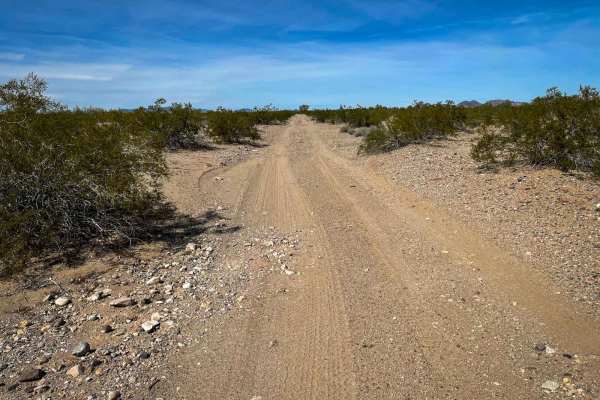 Turtleback Track