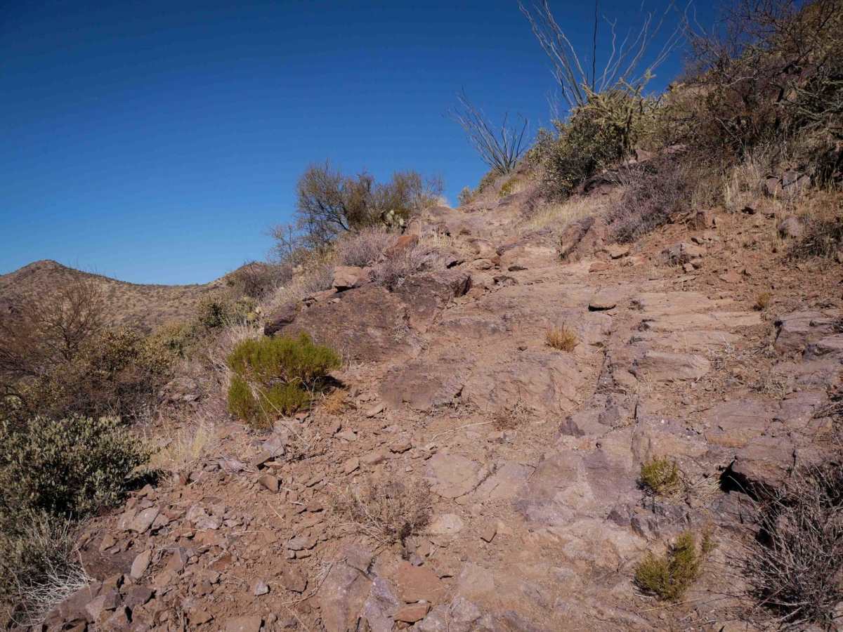 Picacho Peaks Singletrack photo 3