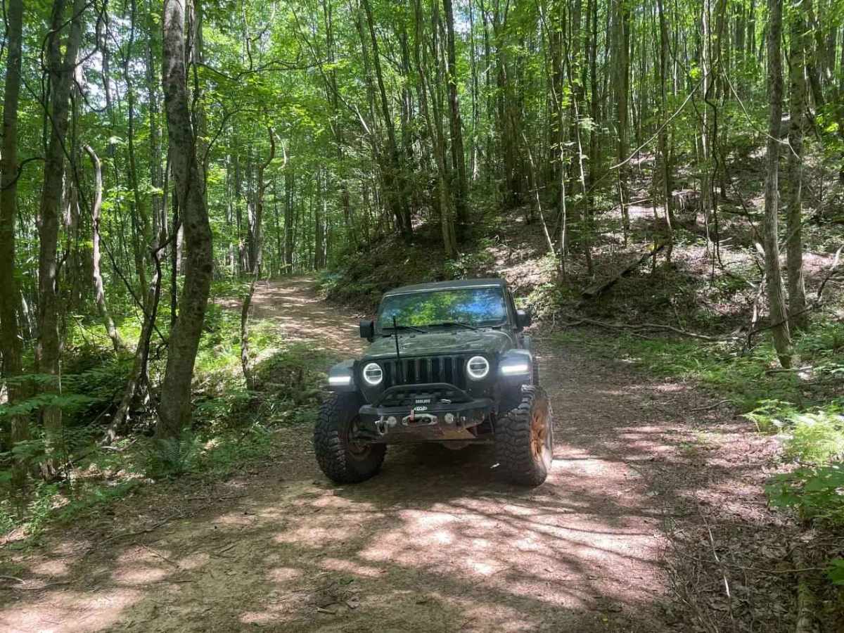 Bryson Gap FS 766A trail photo
