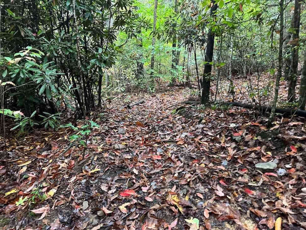 178 Single Track photo 4