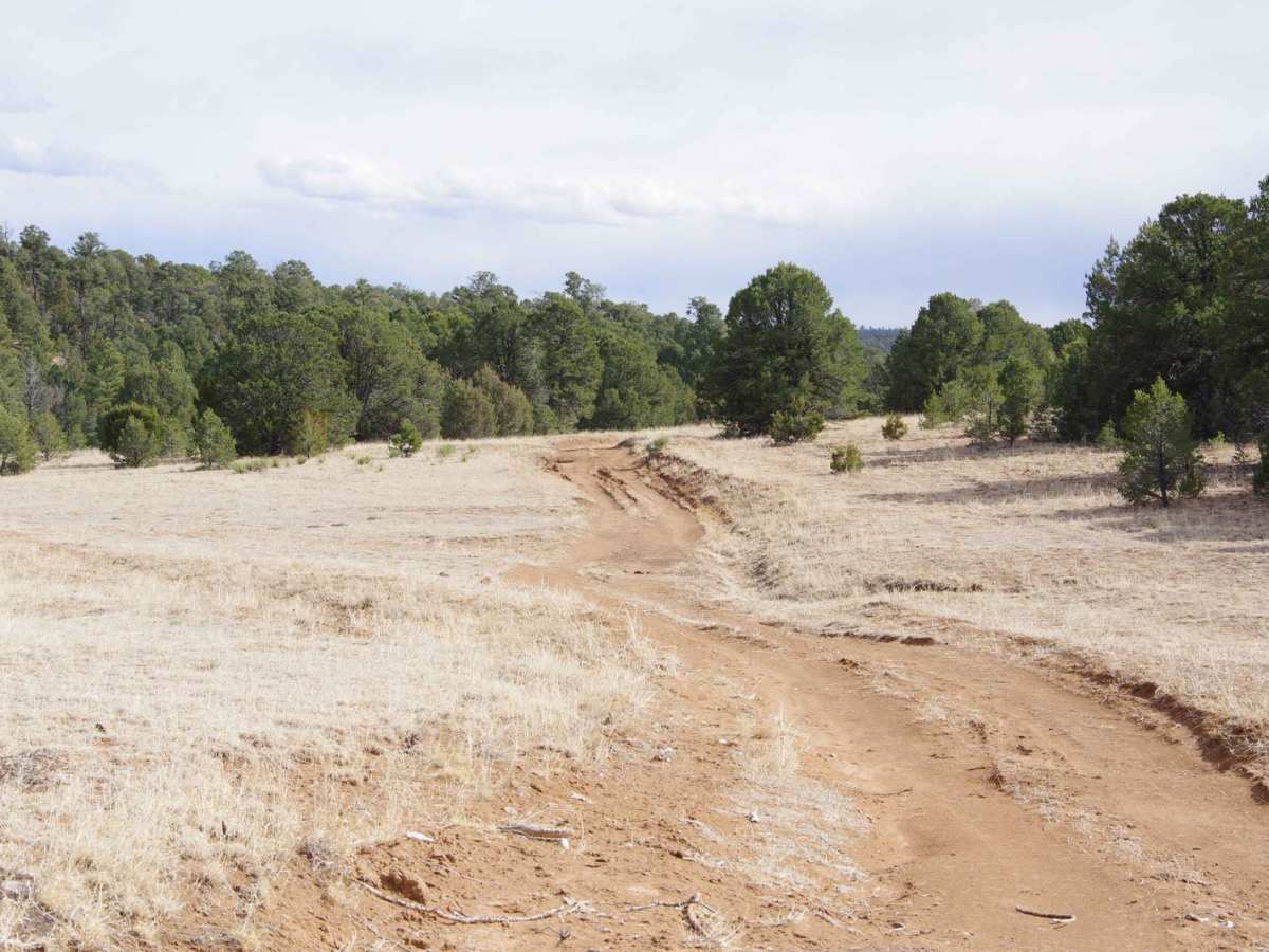 Arroyo de los Diegos photo 4