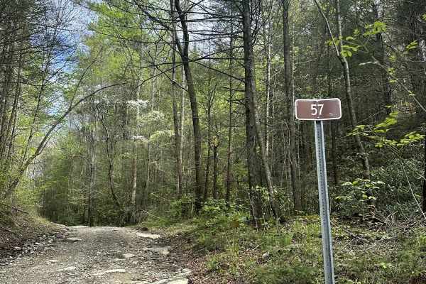 Cane Creek Road - FS 57