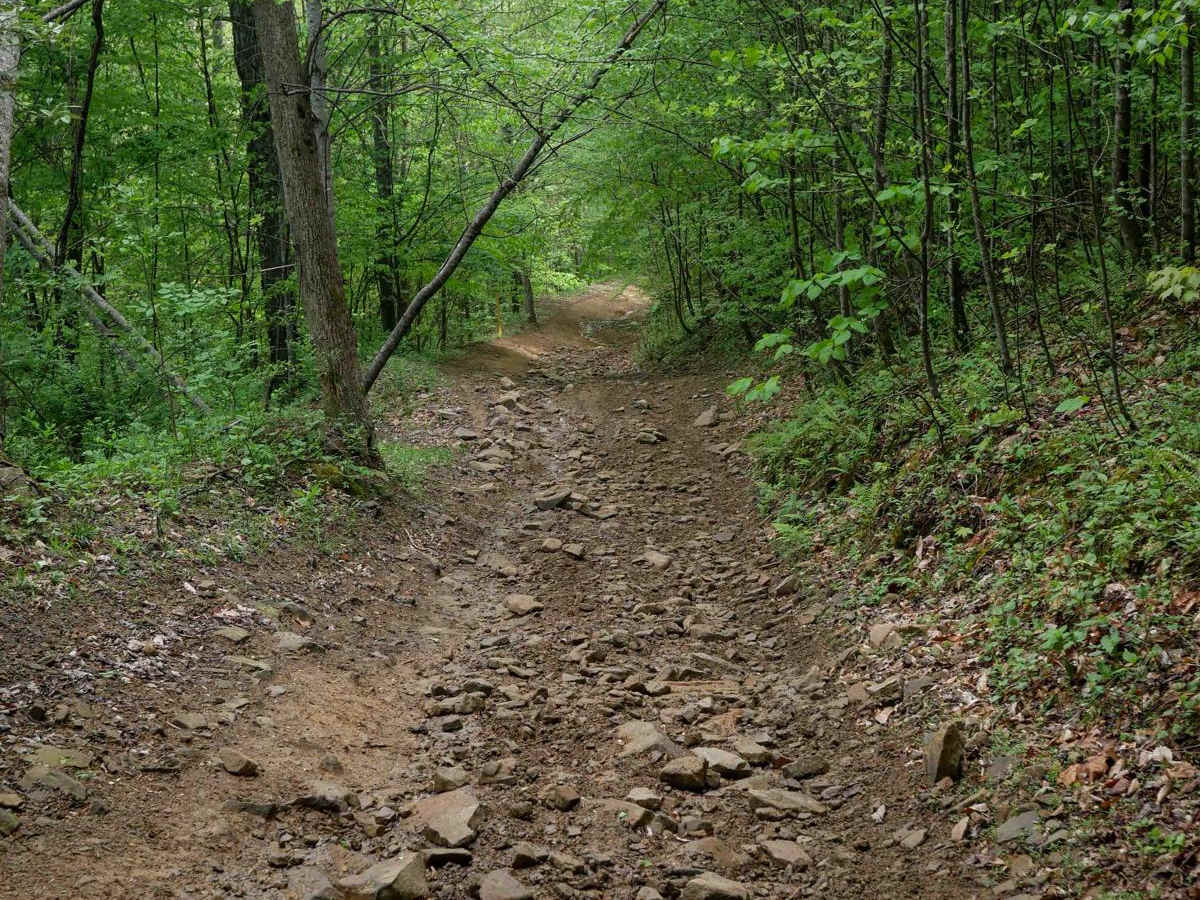 PC 35 trail photo