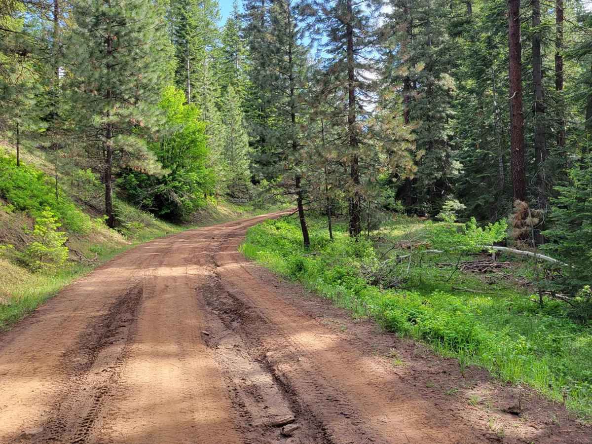 FR 573 - Hitt Creek photo 5
