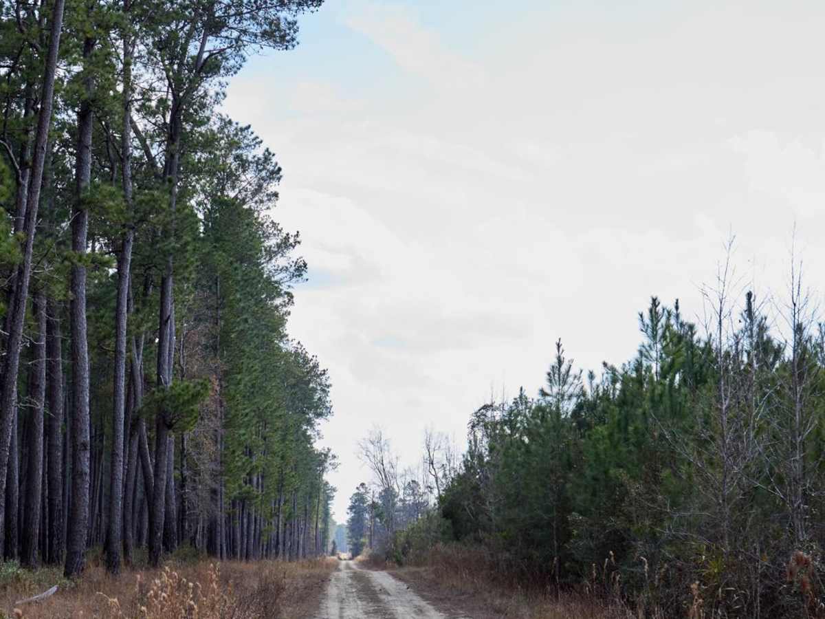 FSR134 - Wright Road photo 5