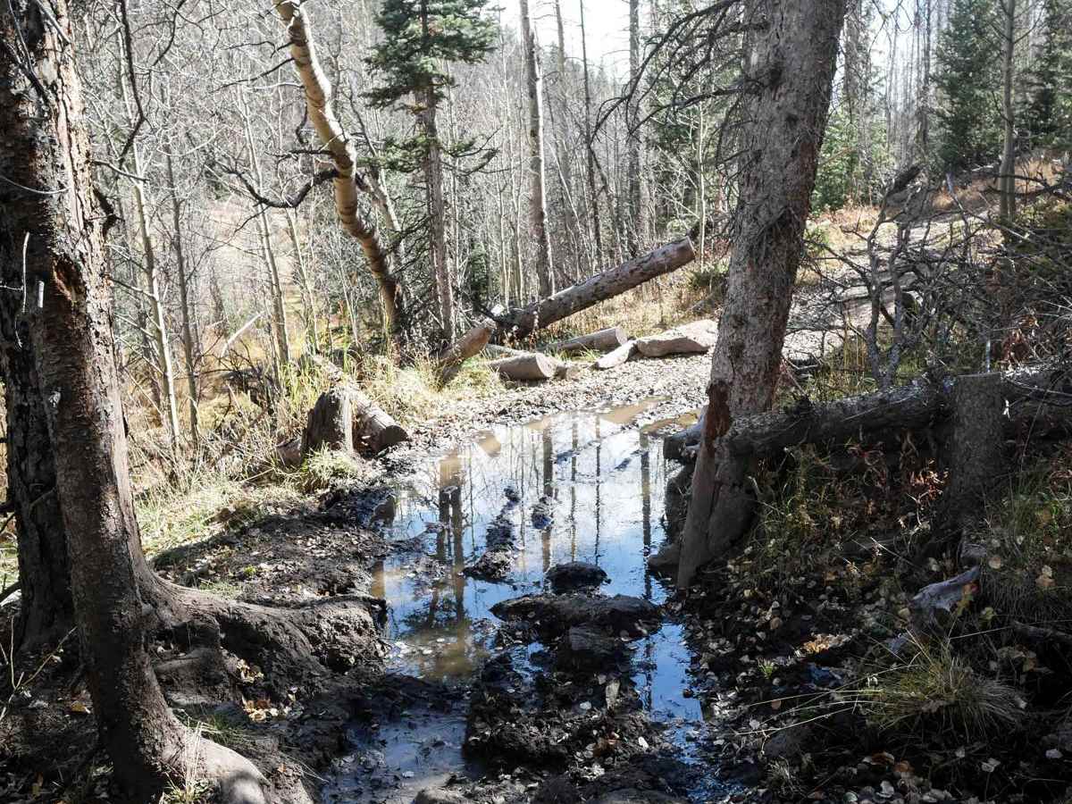 Bear Creek ATV 709 photo 3
